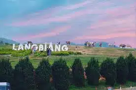 Phượt đỉnh núi Langbiang ngắm đại ngàn xanh tươi đến mơ màng